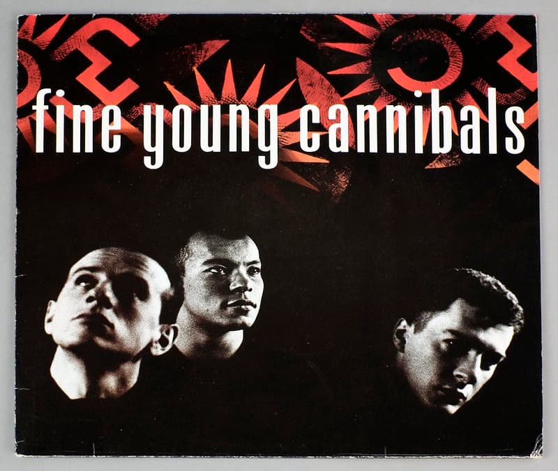 Fine Young Cannibals